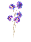 Branche Rhododendron holographique