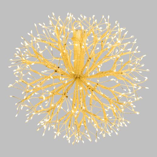 Branche Sphère Riche Champagne