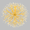 Branche Sphère Riche Champagne