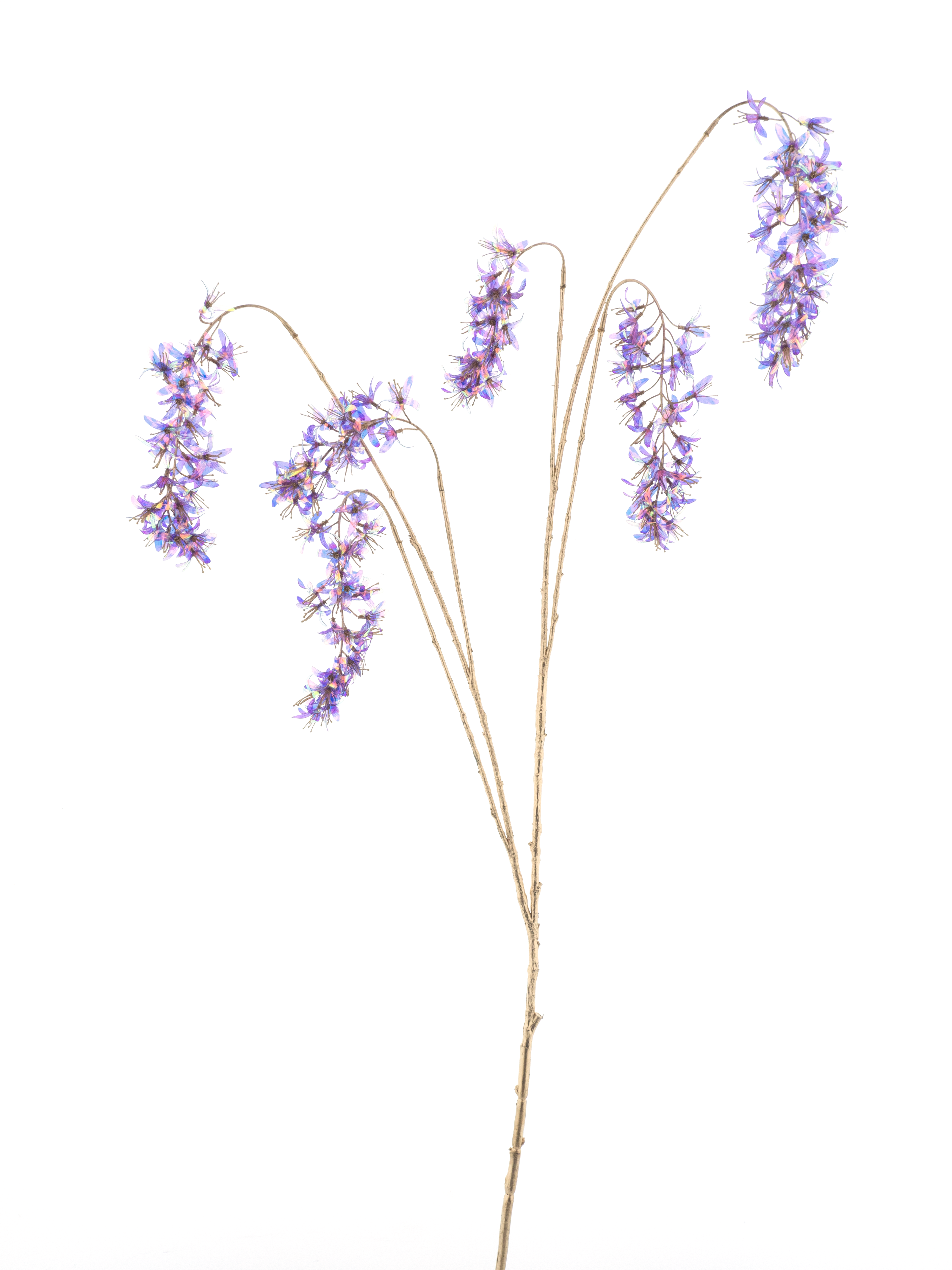 Branche suspendue de glycine holographique