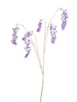 Branche suspendue de glycine holographique