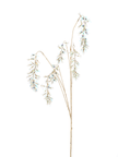 Branche suspendue de glycine holographique