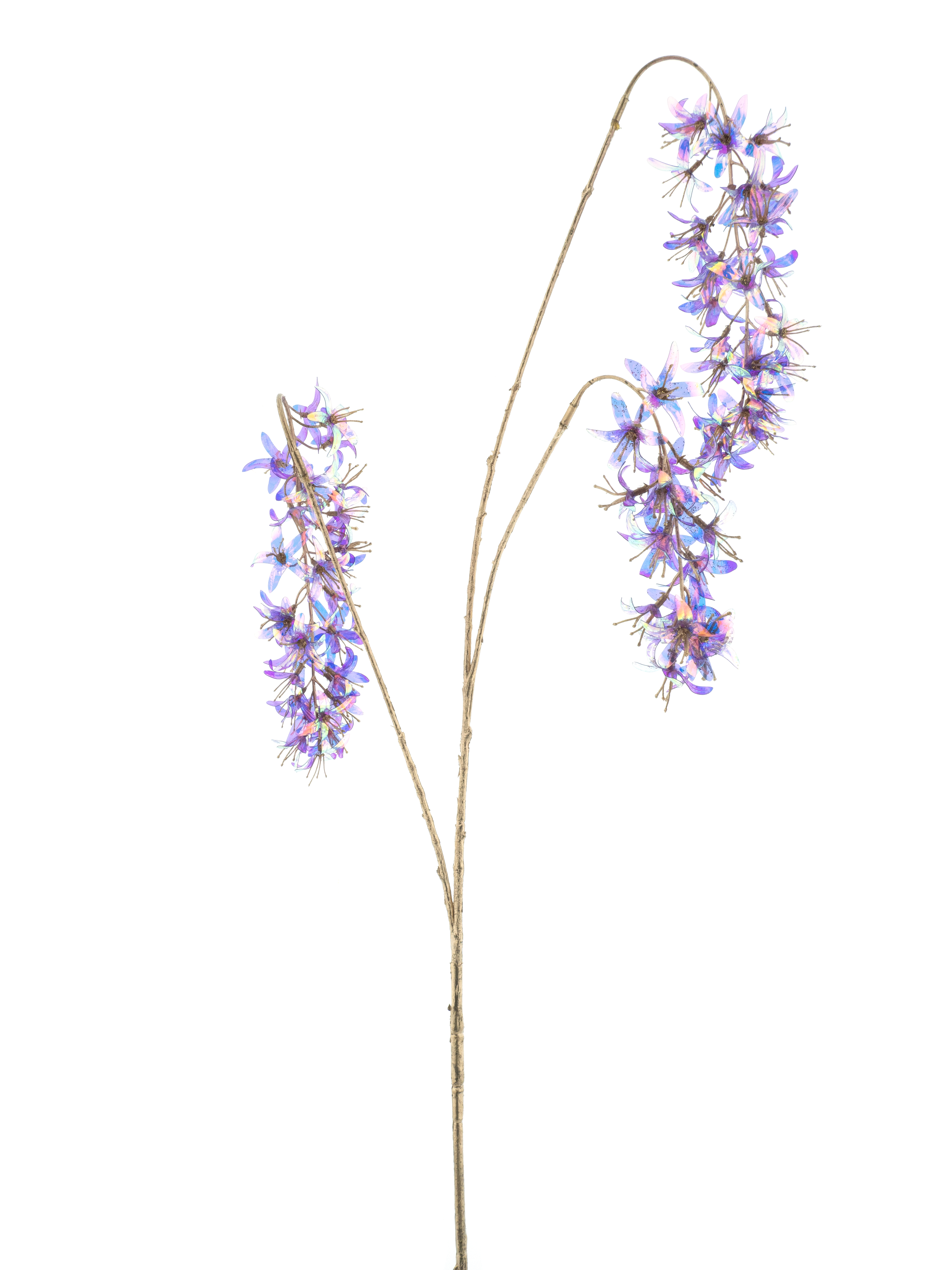 Branche suspendue de glycine holographique