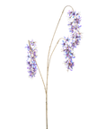 Branche suspendue de glycine holographique