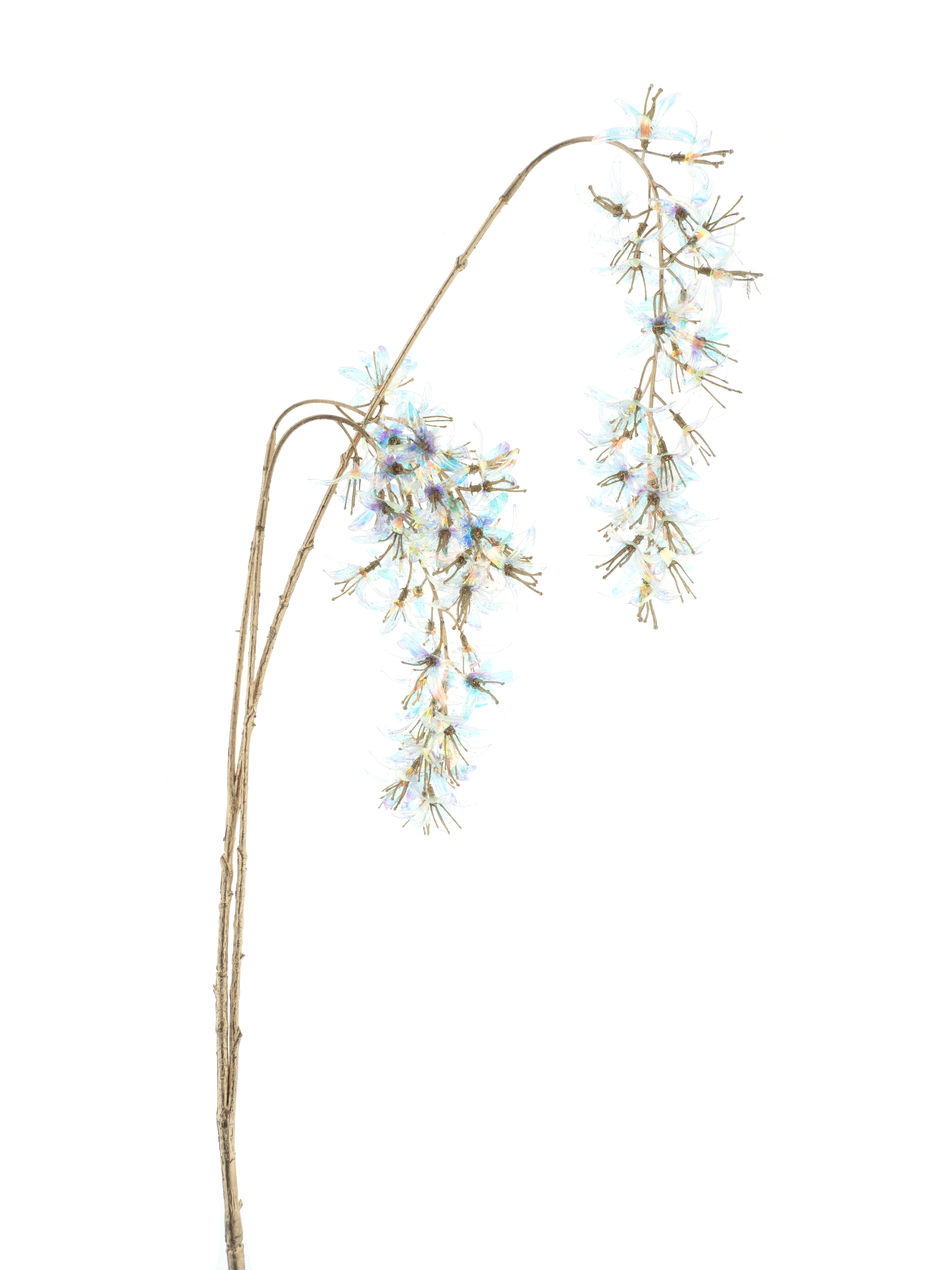 Branche suspendue de glycine holographique