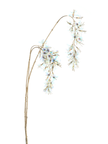Branche suspendue de glycine holographique