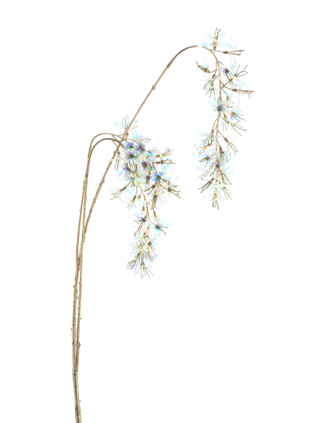 Branche suspendue de glycine holographique