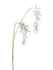 Branche suspendue de glycine holographique