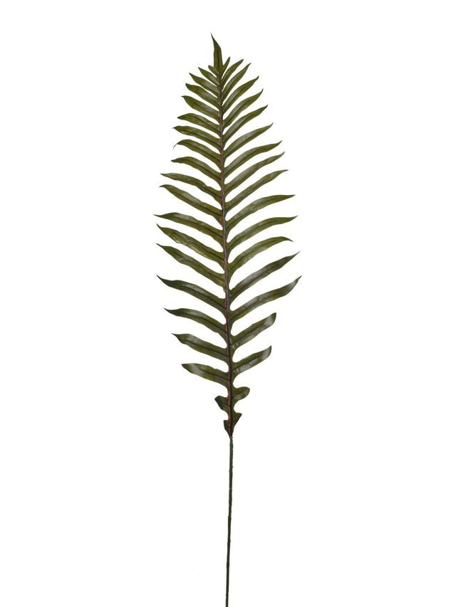 Branche de palmier
