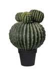 Cactus balls