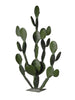 Cactus flat