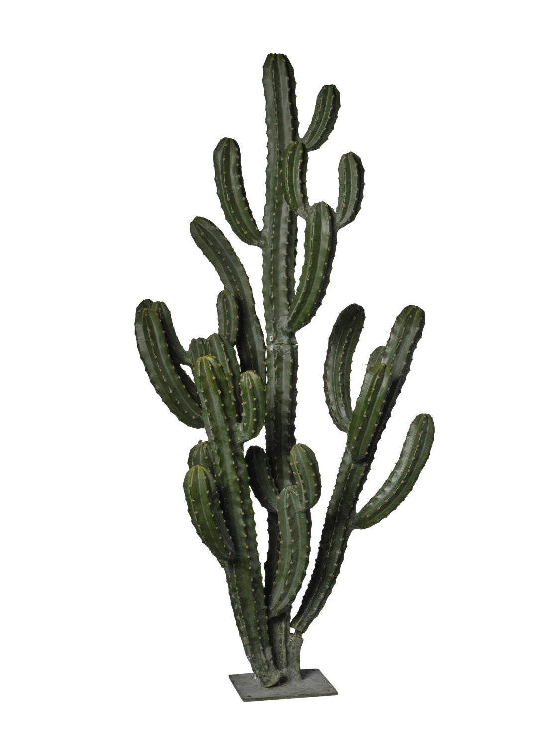Cactus pillar