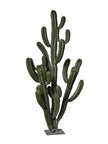 Cactus pillar