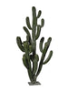 Cactus pillar