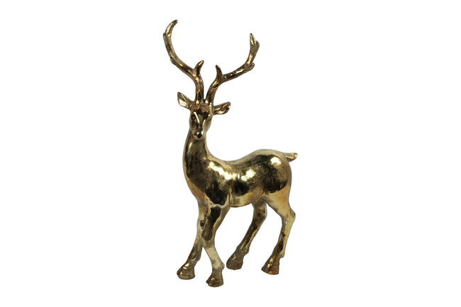 Cerf Doré Isaac