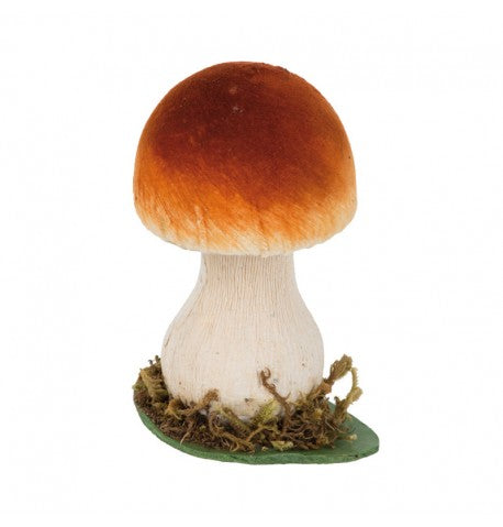 Champignon brun