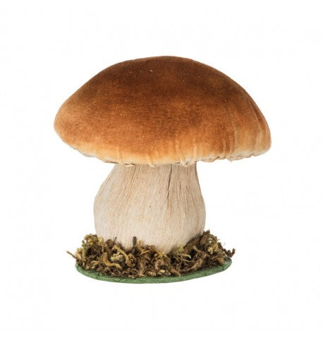 Champignon brun