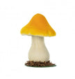 Champignon jaune