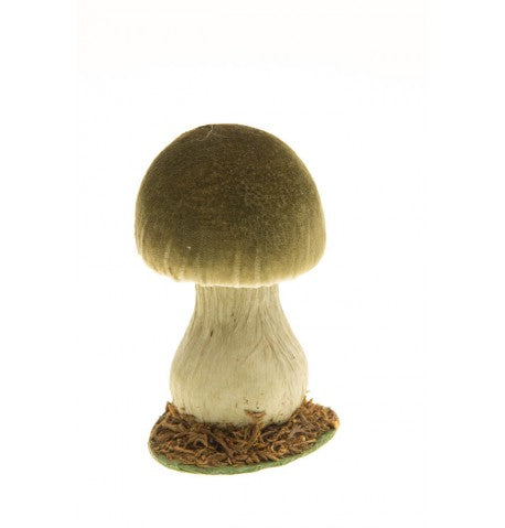 Champignon vert