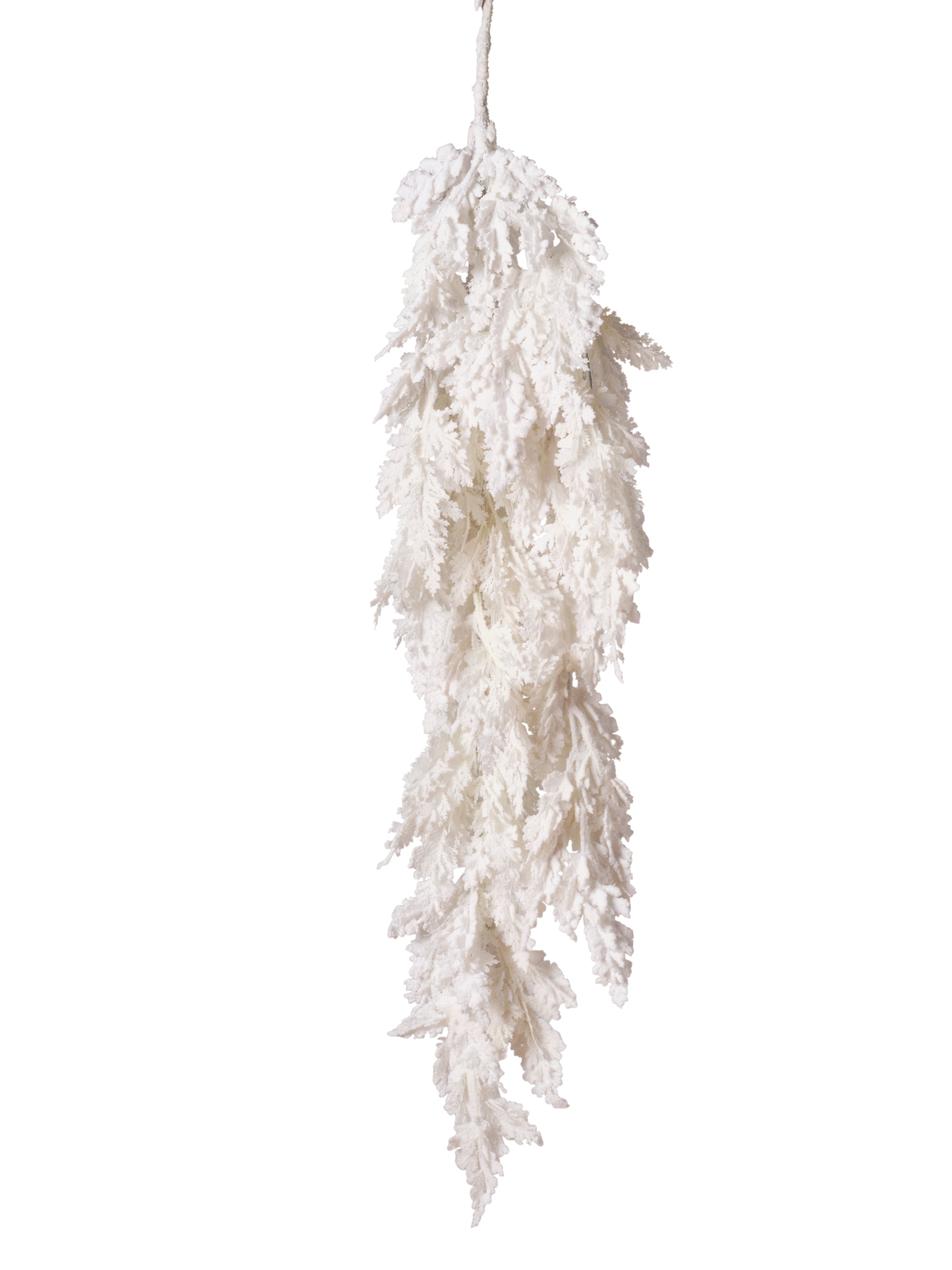 Chute de cyprés blanc