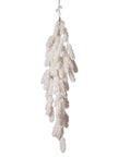 Chute de pin blanc