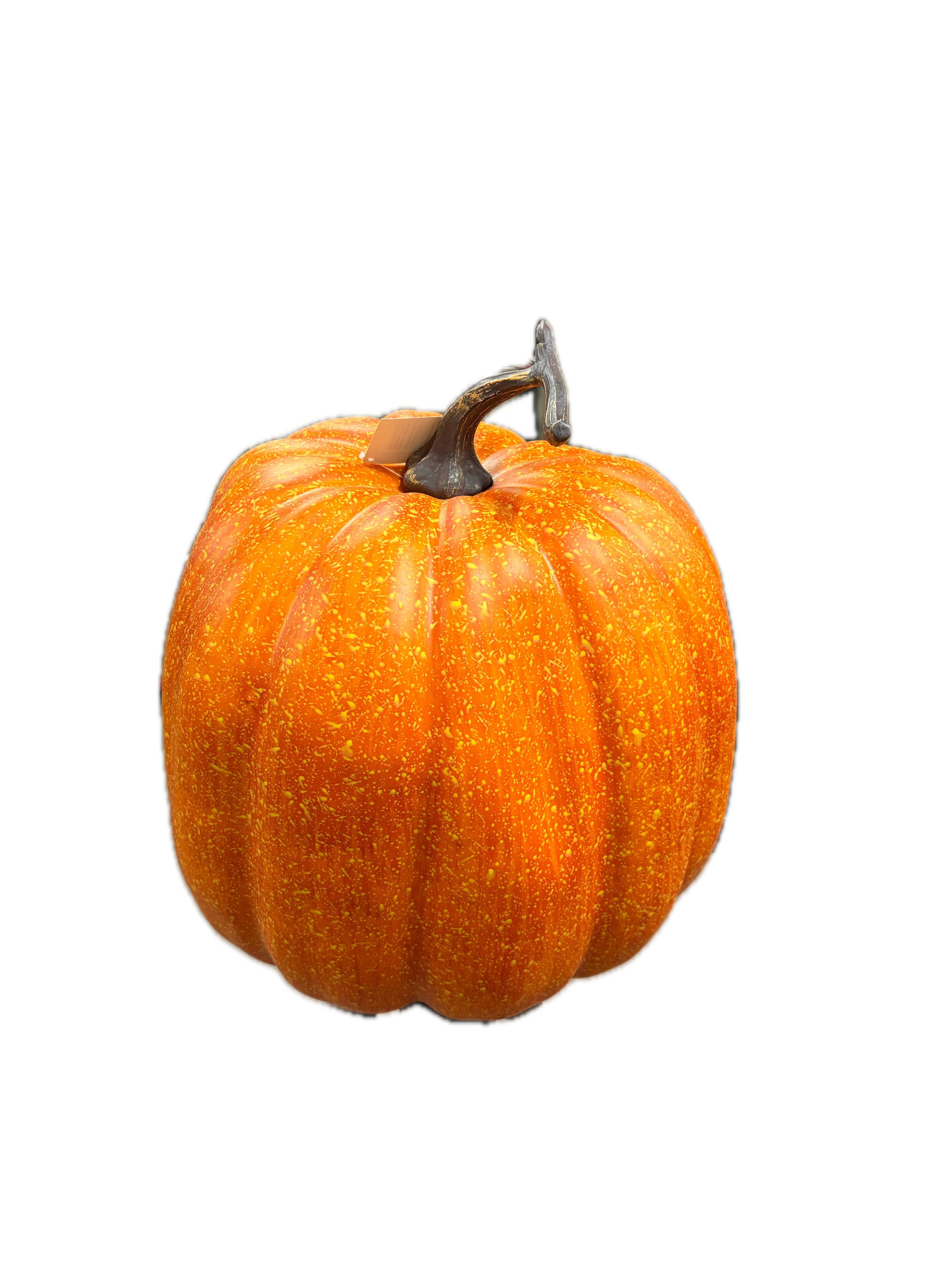Citrouille realiste