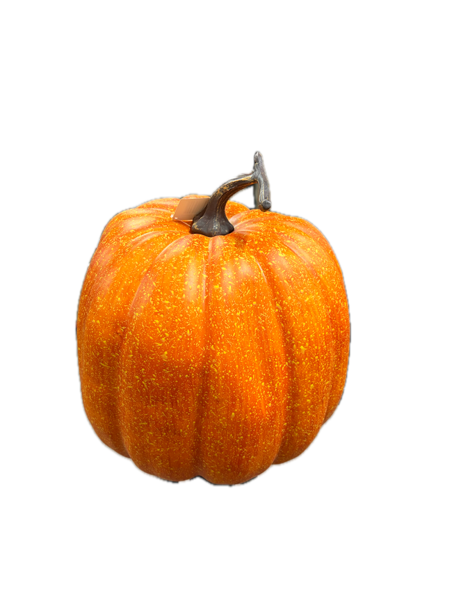 Citrouille realiste
