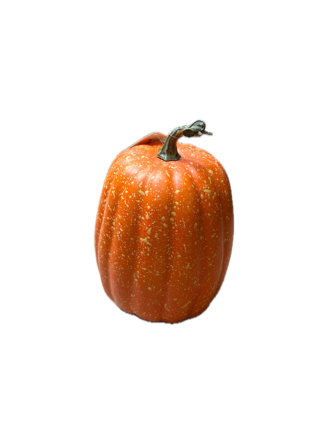 Citrouille realiste orange haute