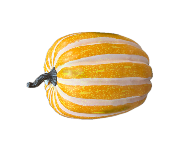 Citrouille realiste orange rayure