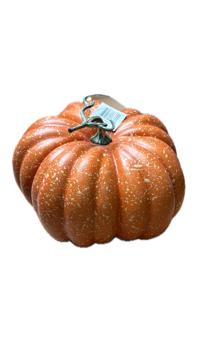 Citrouille realiste orange vielli