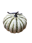 Citrouille realiste verte
