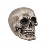 Crane resine bronze