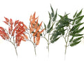 Feuillage automne