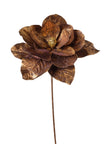 Fleur de magnolia