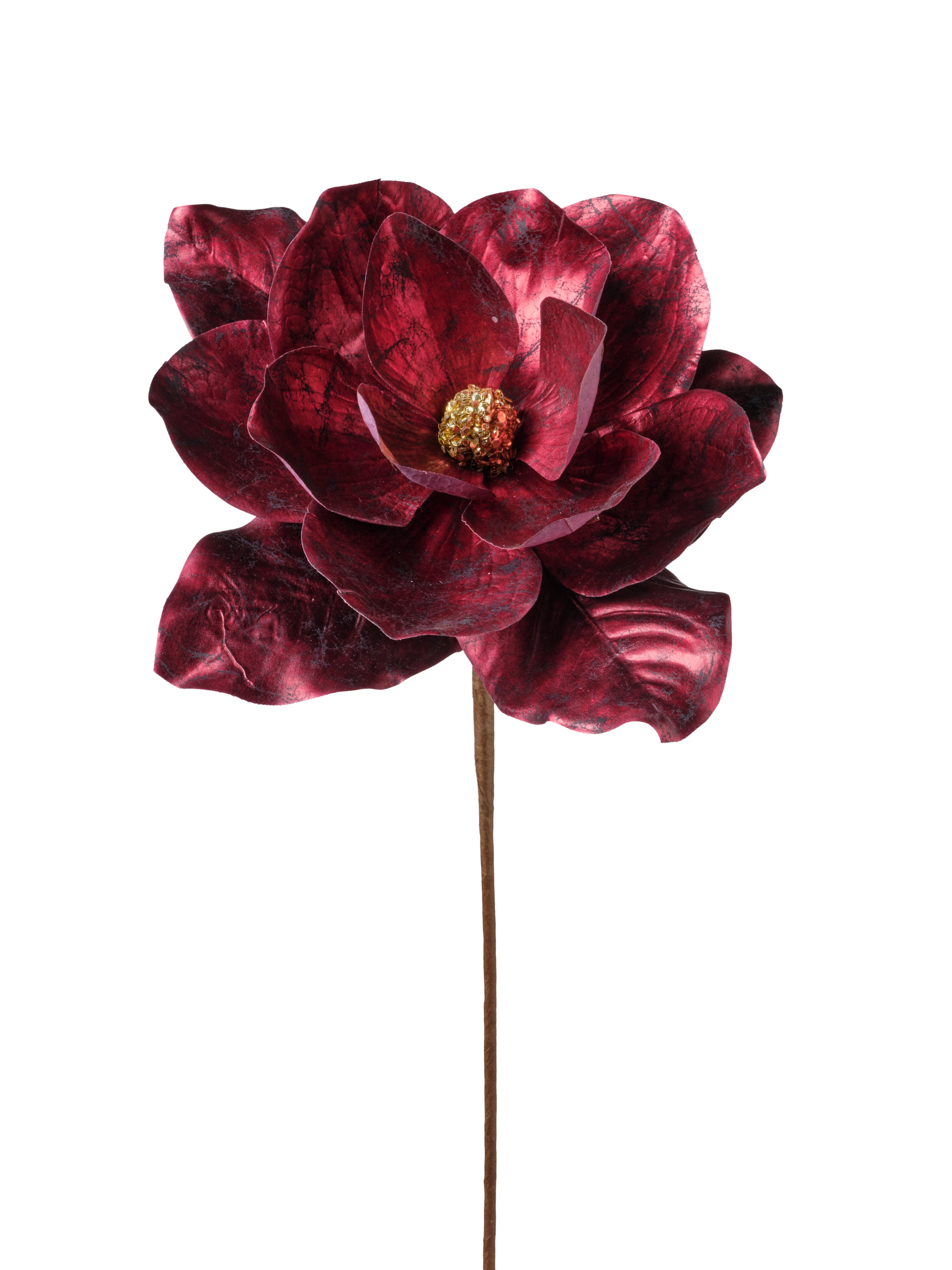 Fleur de magnolia