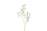 Fleur forsythia