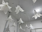 Fleur lumineuse