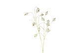 Fleur sparkly