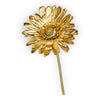 Gerbera doré