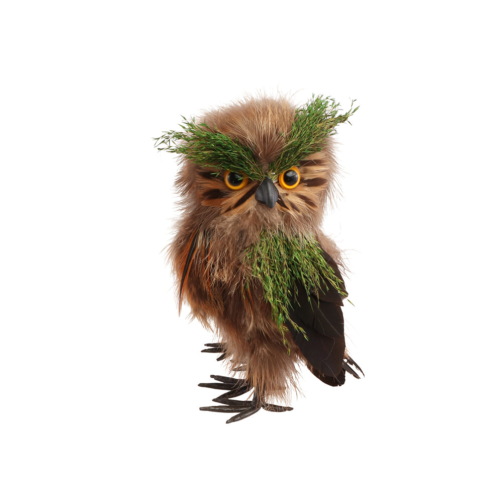 Hibou de foret