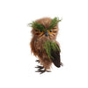 Hibou de foret