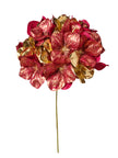 Hortensia métallique