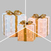 Lot 3 Paquets Cadeaux 3D