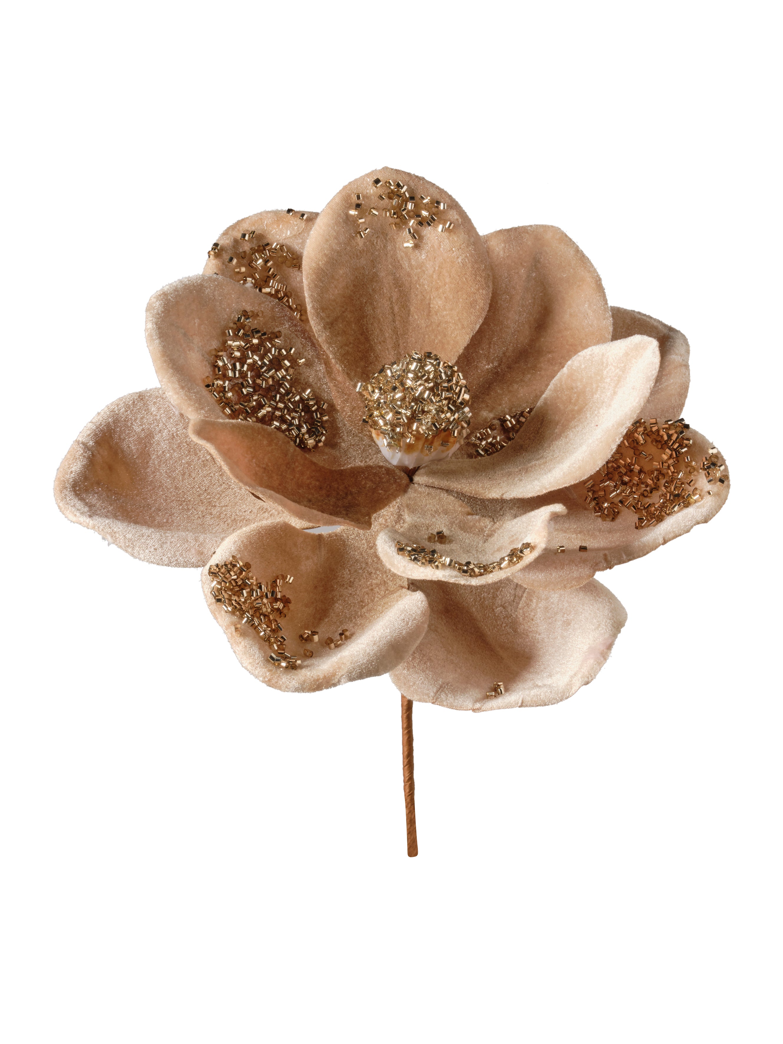 Magnolia à paillettes et velours