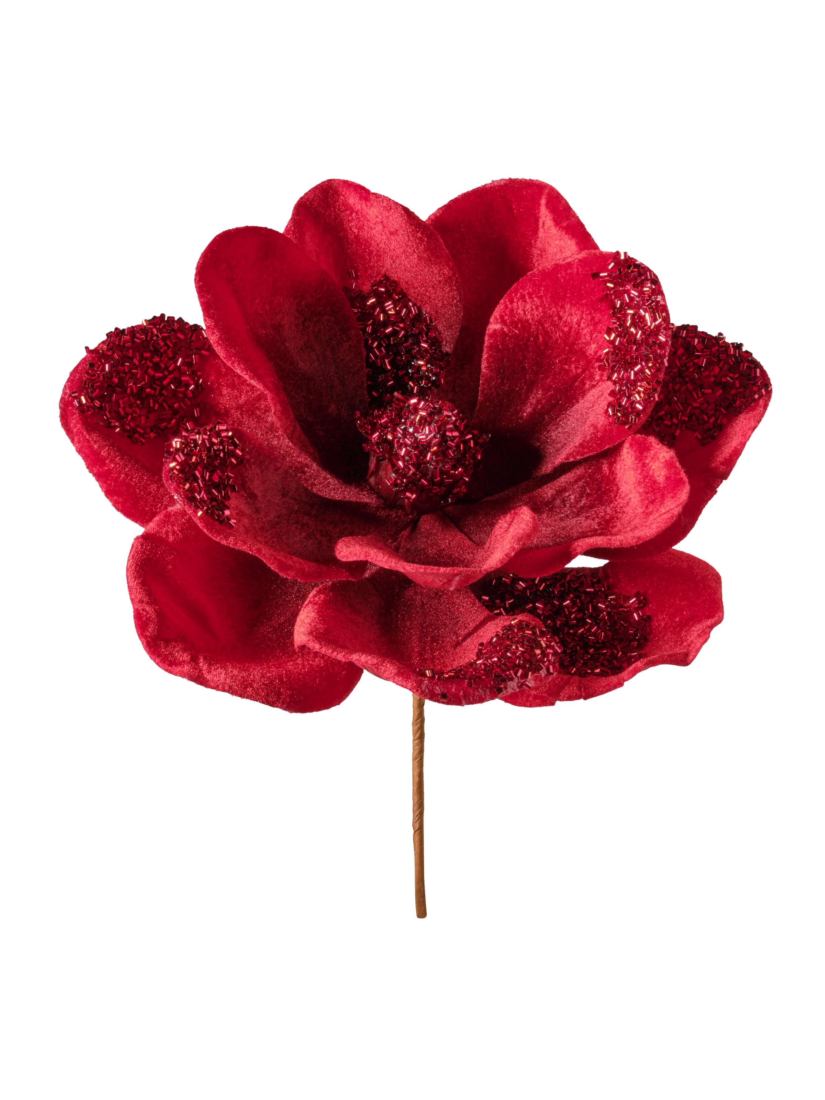 Magnolia à paillettes et velours