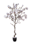 Magnolia en pot blanc enneigé