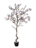 Magnolia en pot blanc enneigé