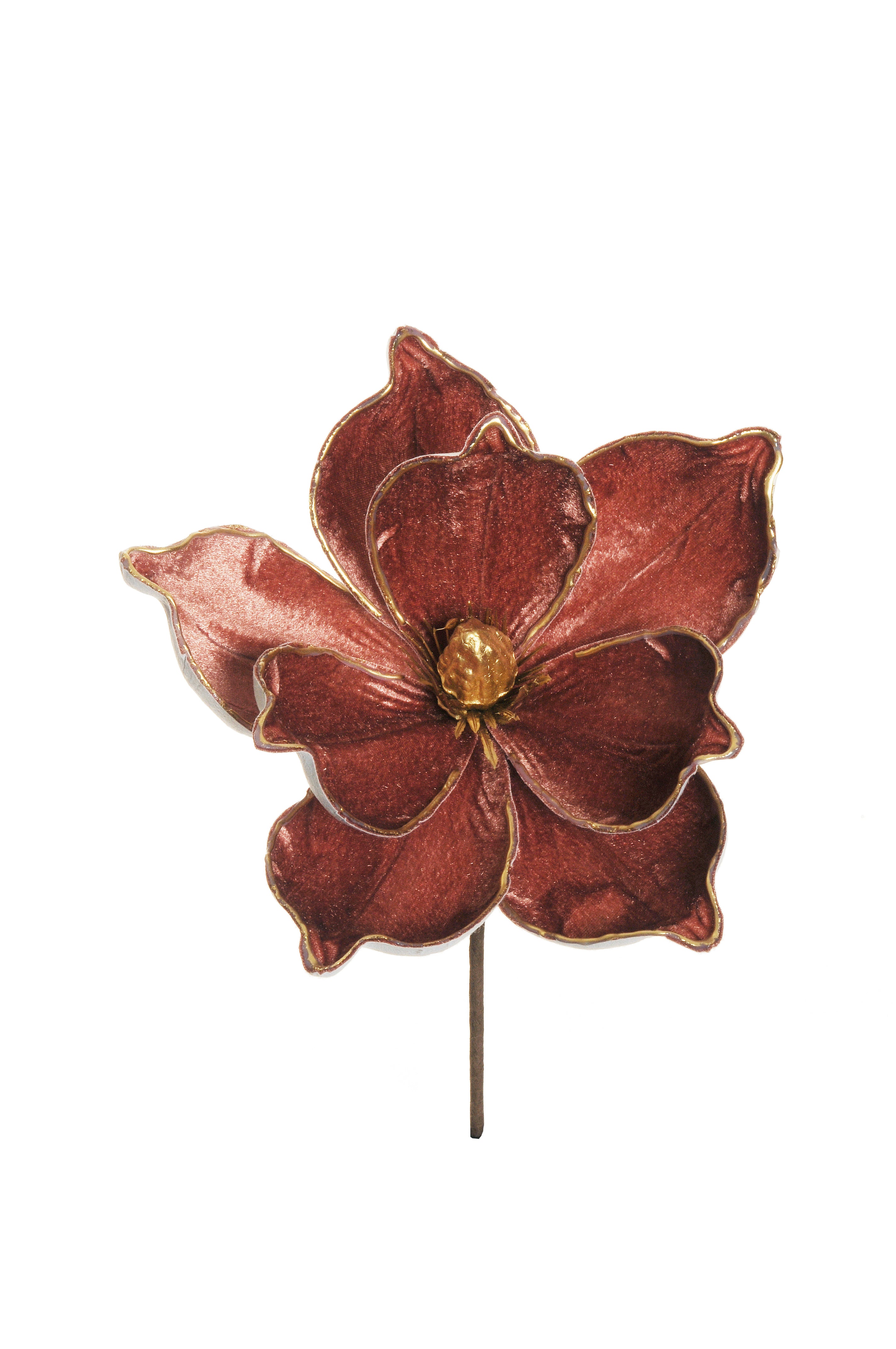 Magnolia en velours