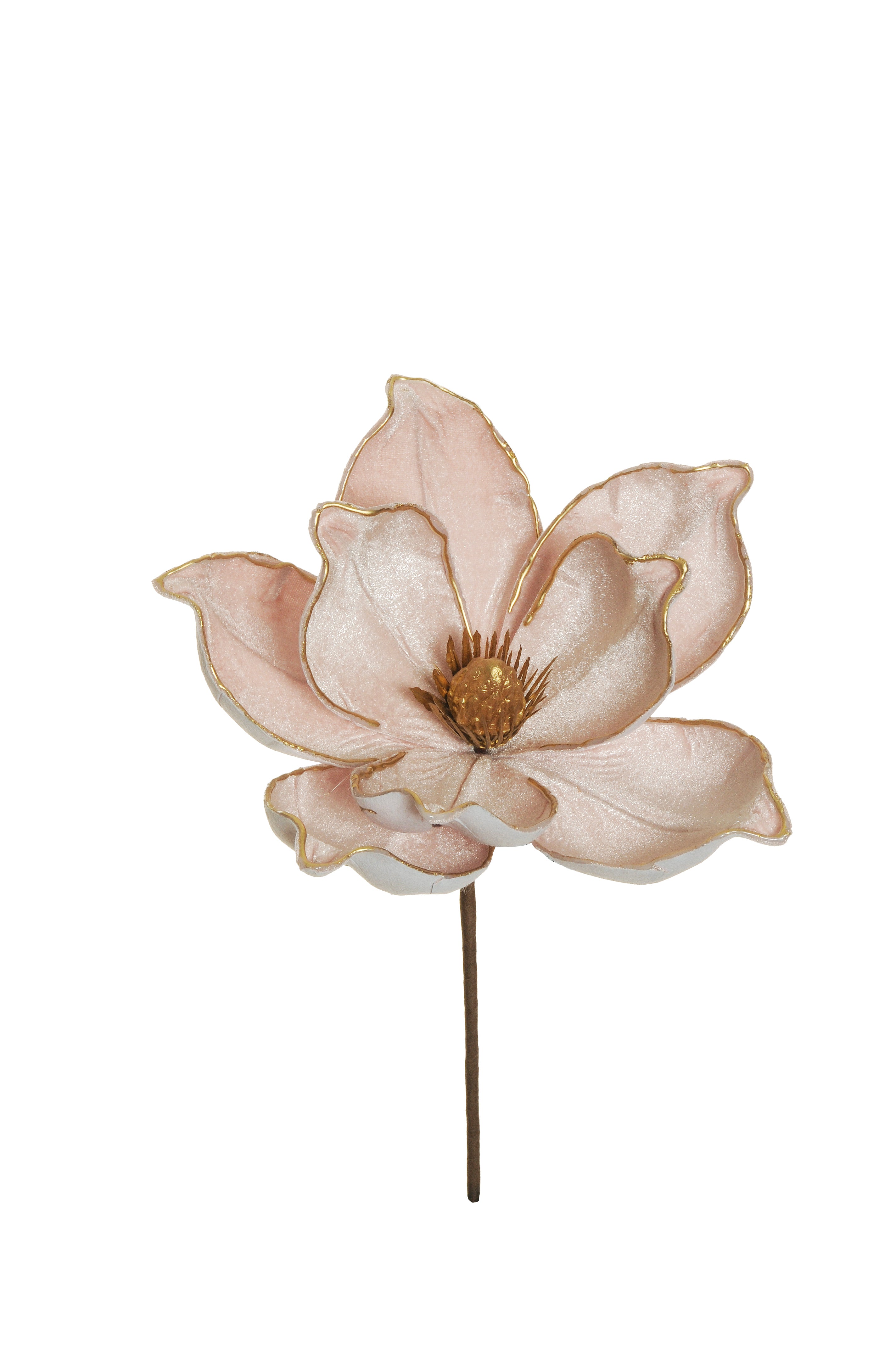 Magnolia en velours