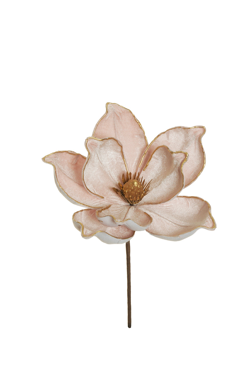Magnolia en velours